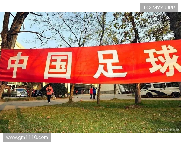 下届世界杯在哪里举行世界杯体育论坛